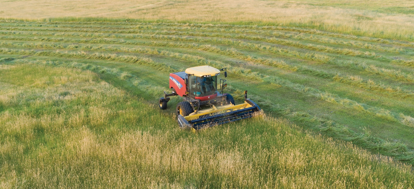 ProCart™ and ProCart™ PLUS Deluxe Carted Wheel Rakes