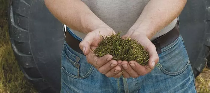 BENEFITS OF SHORTER PARTICLE LENGTH