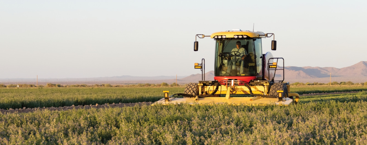 CLEAN AND CLOSE CUTTING